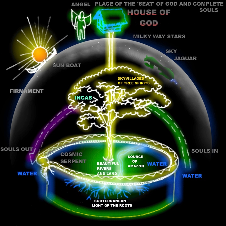 Image result for images of the tree of life